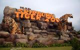 Arrive Bangkok - transfer to Pattaya - Sri Racha Tiger Zoo with Breakfast - Optional Tour to Nong Nooch Village