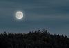 Leisure Tour@Port Blair - Havelock - Baratang