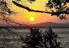 Leisure Tour@Port Blair - Havelock - Baratang