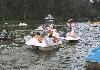 Best of Ooty Pedling boats