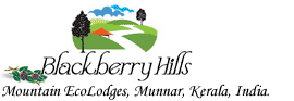 Blackberry Hills Mountain EcoLodges
